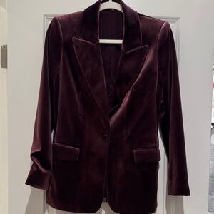 Express Elegant Velvet Blazer in Rich Burgundy